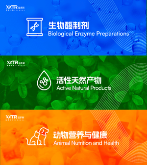 1720700932809883.png 0图片1.png